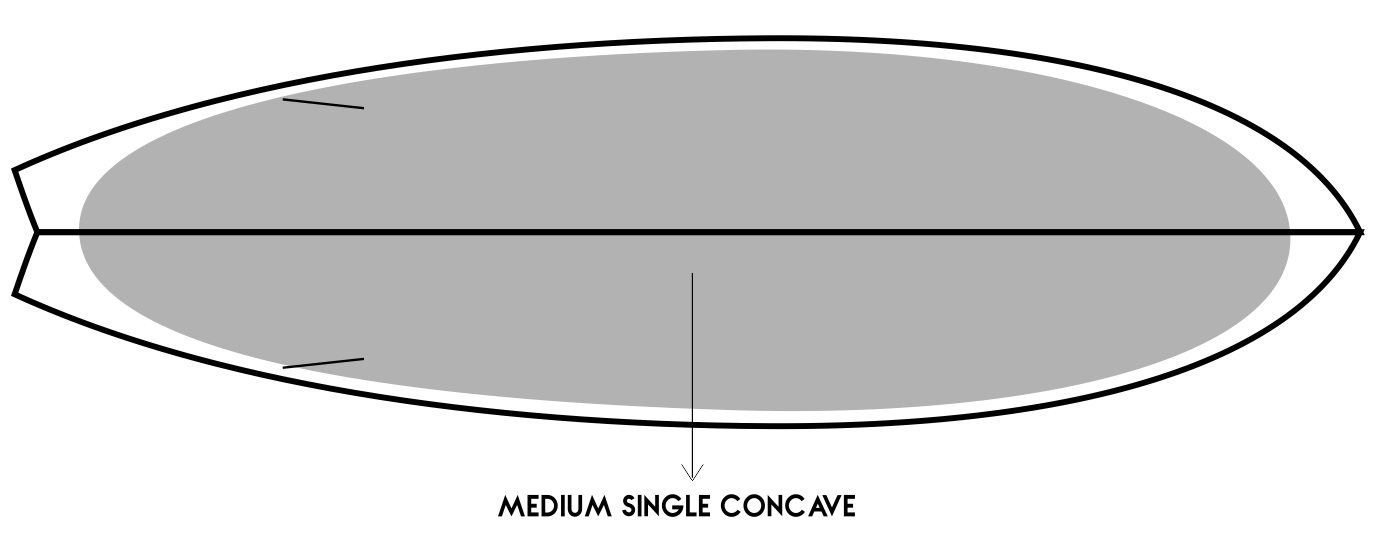 sapimodel-roundnosefish